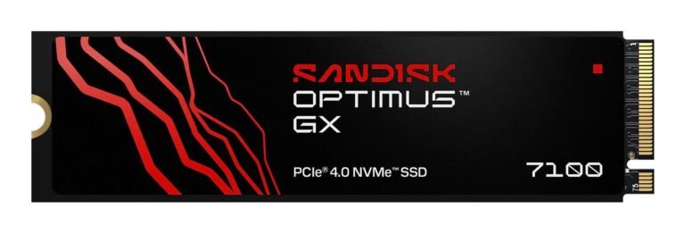 SanDisk 1000 GB M.2 PCIe 4.0 (SDSP71100TAN-000E0)