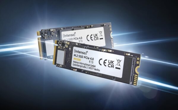 Intenso 500GB M.2