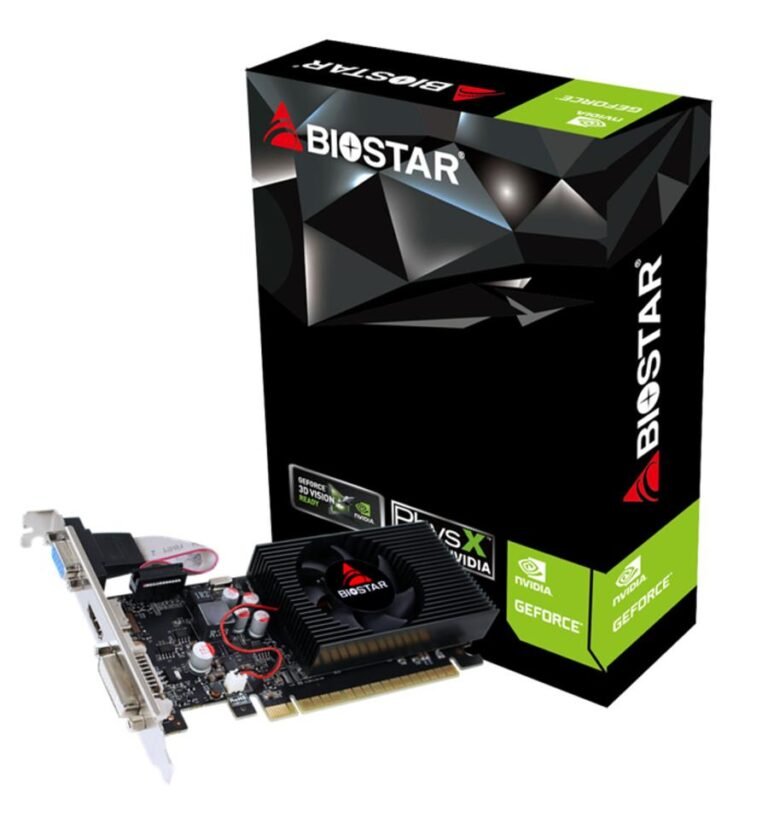 Biostar NVIDIA GeForce GT 730 4 GB